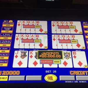 Meet your Posher, Halia